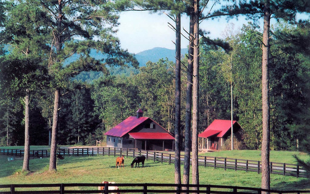 L43 R Creek Camp Road Ellijay, GA 30536 - Photo 11 of 28 Additional View