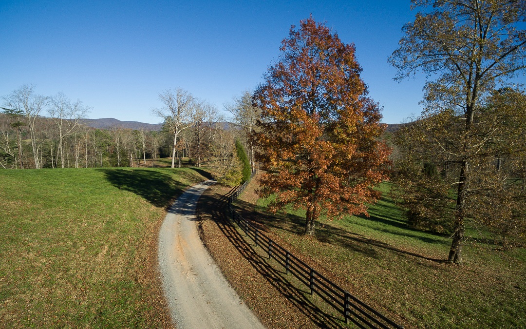 L43 R Creek Camp Road Ellijay, GA 30536 - Photo 13 of 28 Additional View