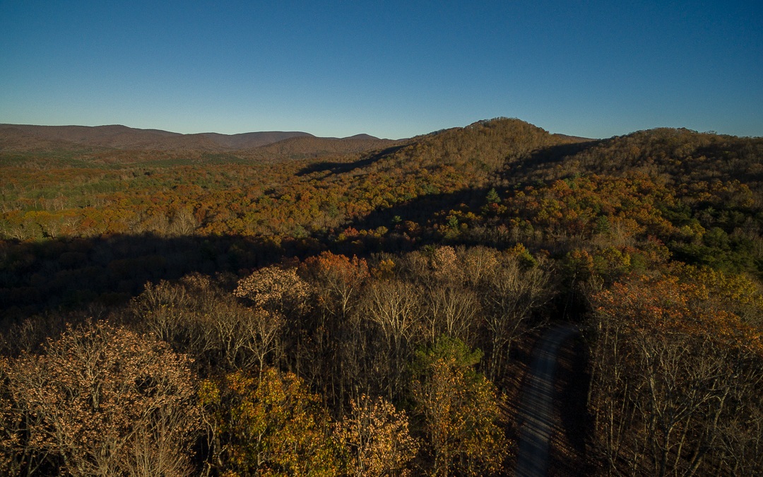 L43 R Creek Camp Road Ellijay, GA 30536 - Photo 16 of 28 Additional View