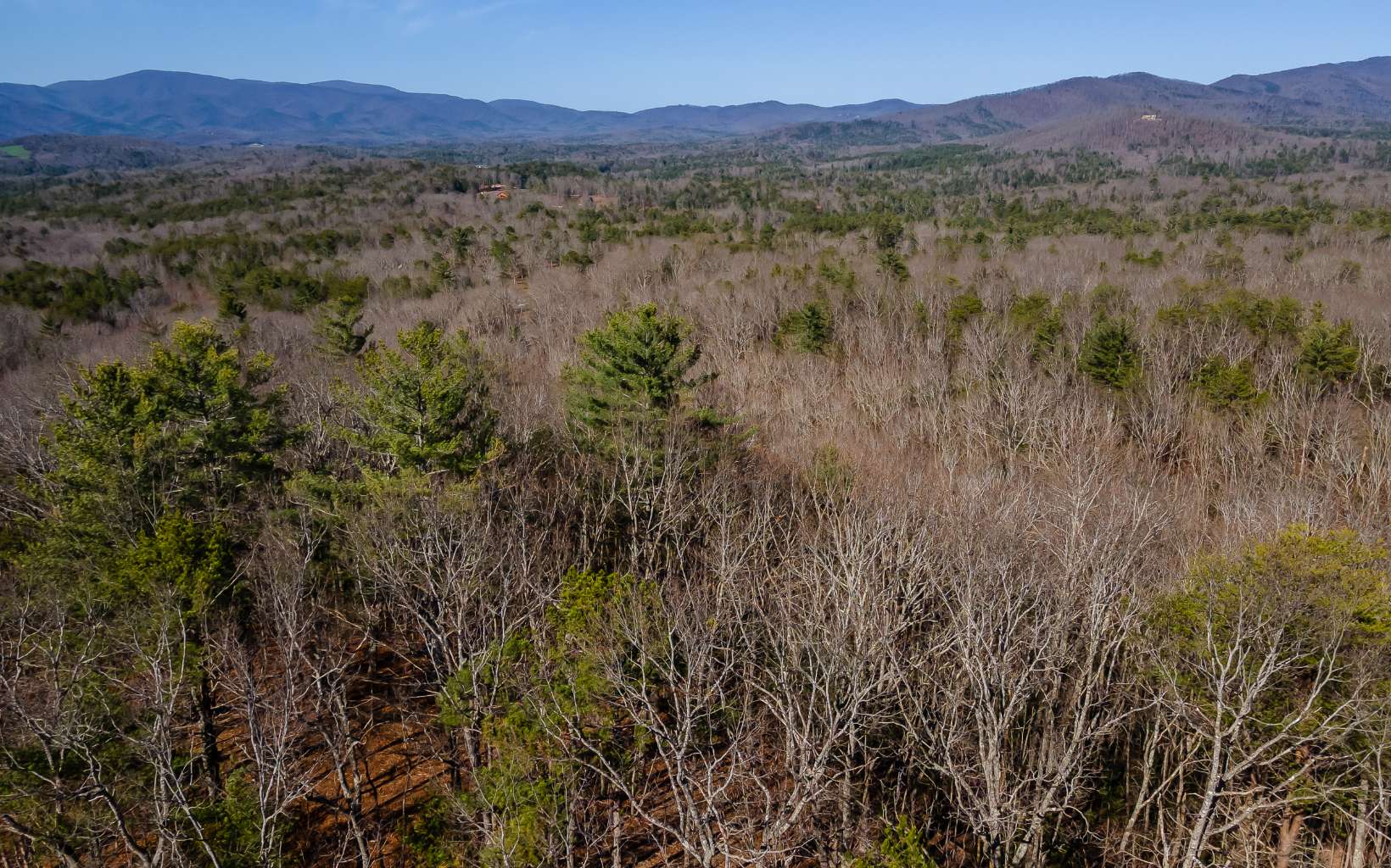 L43 R Creek Camp Road Ellijay, GA 30536 - Photo 28 of 28 Additional View