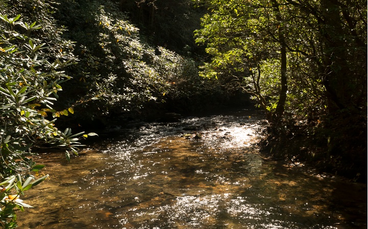 L43 R Creek Camp Road Ellijay, GA 30536 - Photo 4 of 28 Additional View
