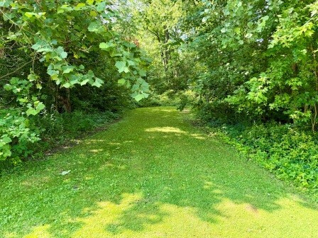 3011 North 15270E Road Momence, IL 60954 - Photo 3 of 30