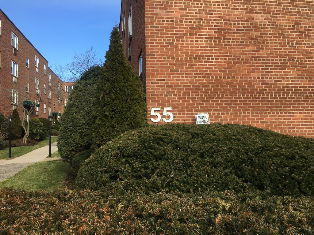55 Colborne Road, Unit B1 Boston, MA 02135 - Photo 1 of 9 Gallery Image 1