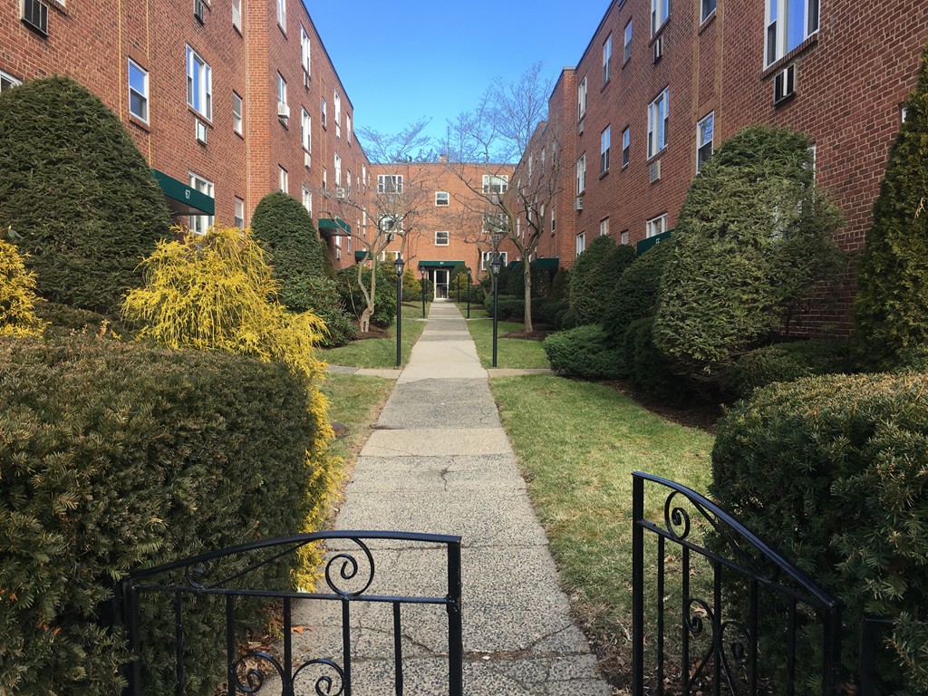 55 Colborne Road, Unit B1 Boston, MA 02135 - Photo 2 of 9 Gallery Image 2