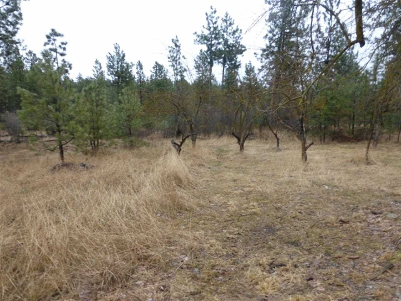 6012 North Thierman Road Spokane, WA 99217 - Photo 19 of 20