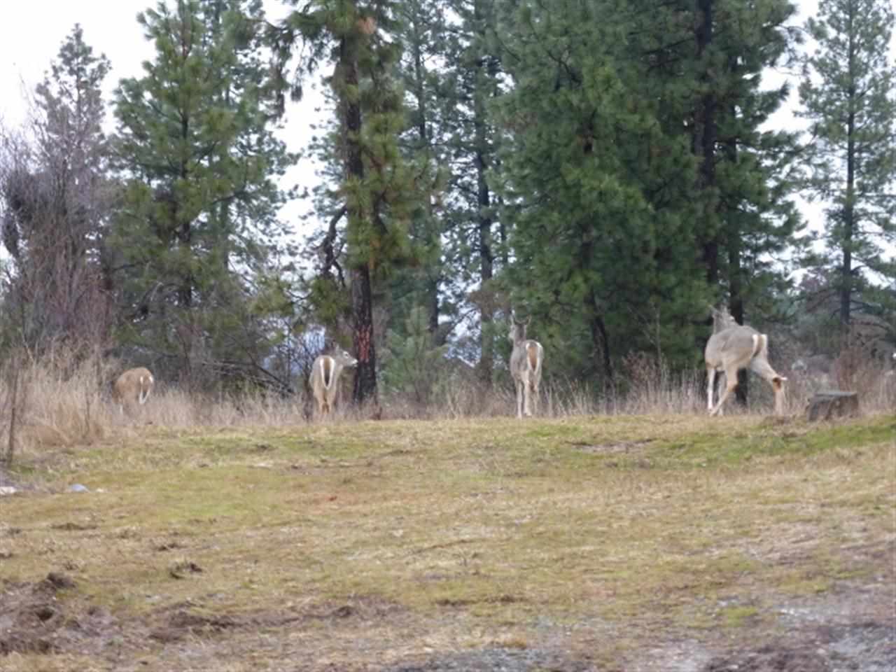 6012 North Thierman Road Spokane, WA 99217 - Photo 20 of 20