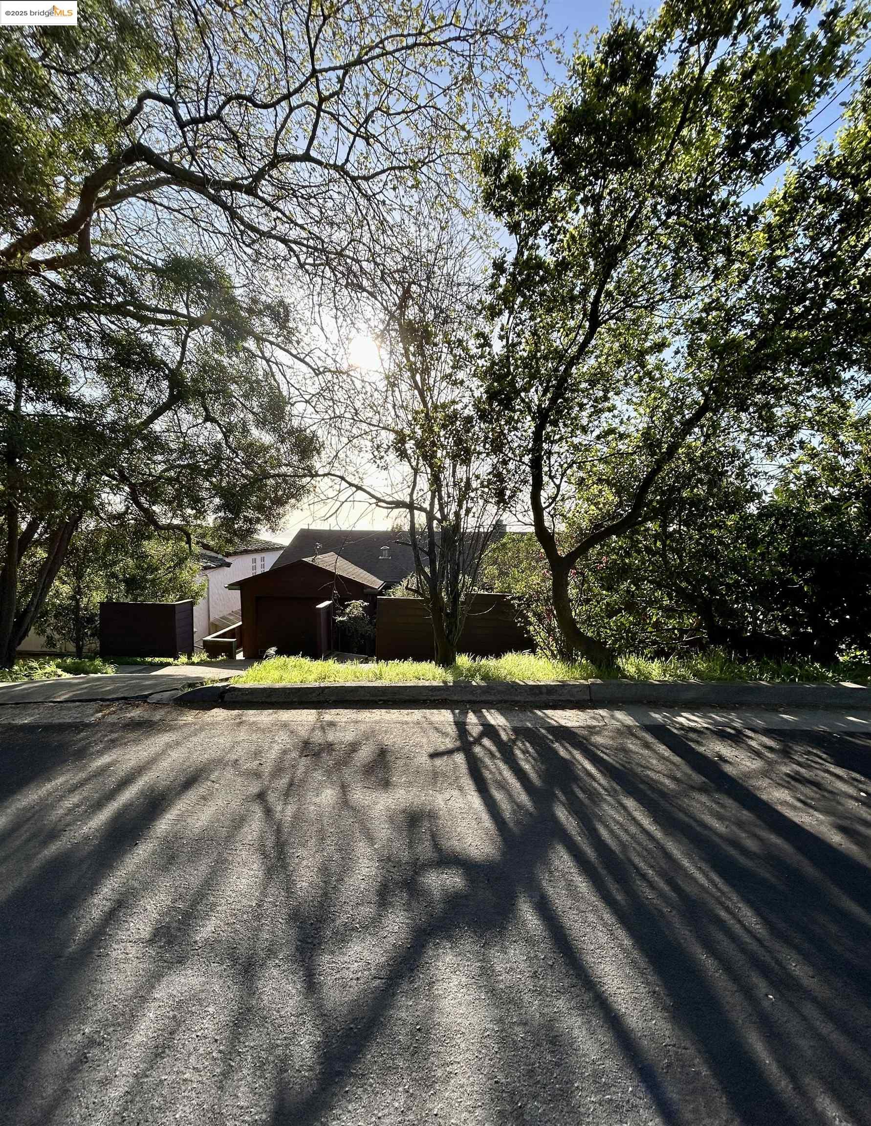 582 Euclid Avenue Berkeley, CA 94708 - Photo 1 of 1 a view of a street with a yard and large trees