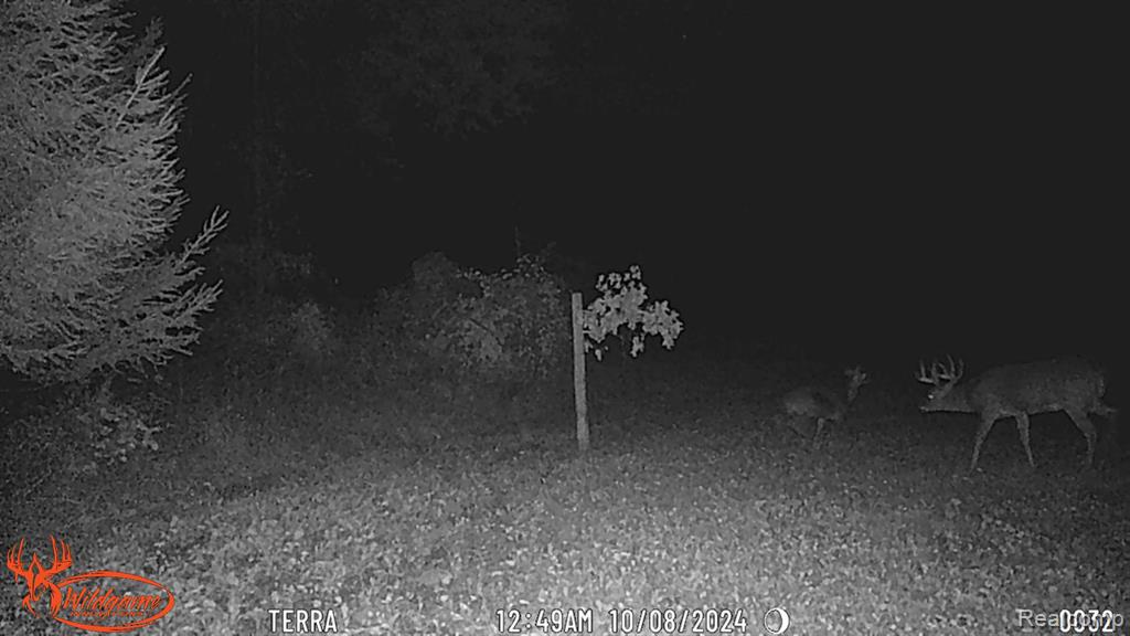 3940 Wilder Road Metamora, MI 48455 - Photo 29 of 42