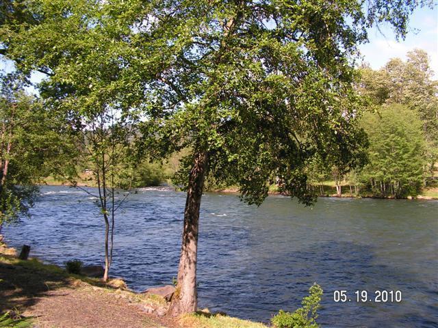 195 Rene Drive Shady Cove, OR 97539 - Photo 17 of 25 Additional Photo
