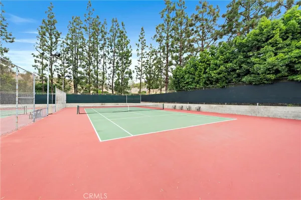 a view of a park with tree s