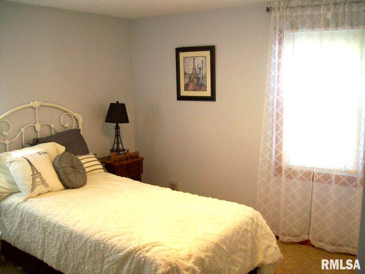 506 Alsey Smith Road Alsey, IL 62694 - Photo 20 of 31