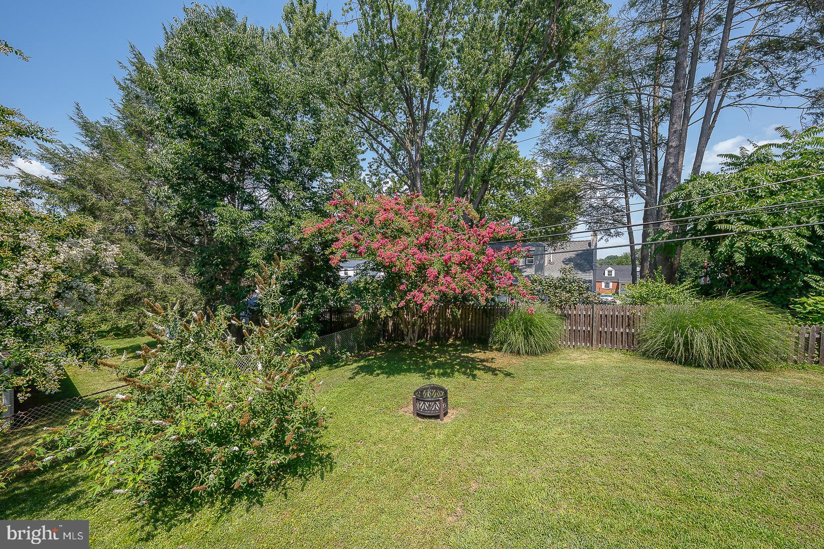 135 Sherman Road Springfield, PA 19064 - Photo 28 of 32 a view of a garden with plants