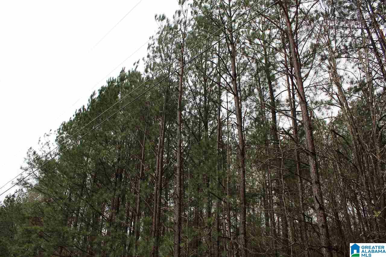 0 Fitzgerald Road Oxford, AL 36203 - Photo 18 of 44