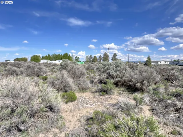 $9,000 | North Maple Circle, Christmas Valley, OR 97641