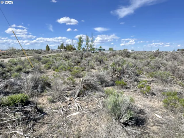 a view of a bunch of trees in a field