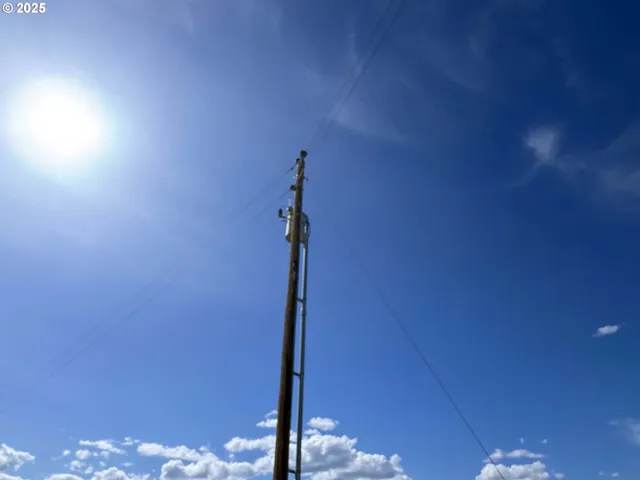 a view of a city with lots of bushes