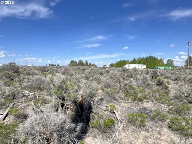 a view of a city with lots of bushes