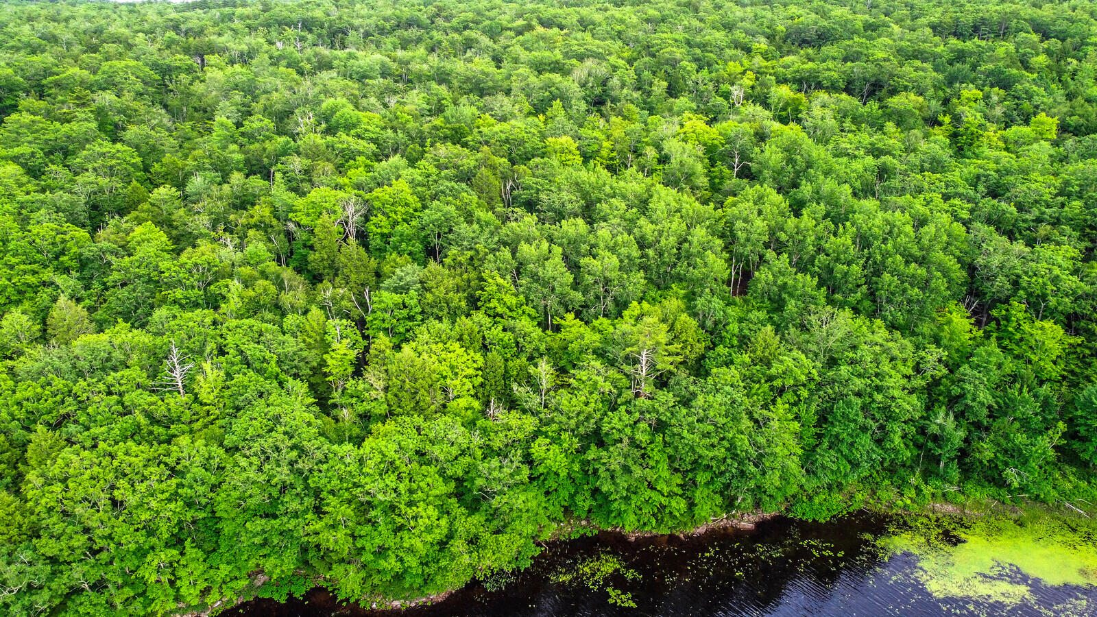 Tbd Powderhorn Road Jefferson, ME 04348 - Photo 14 of 16 09_DJI_0126_copy_DxO_mls