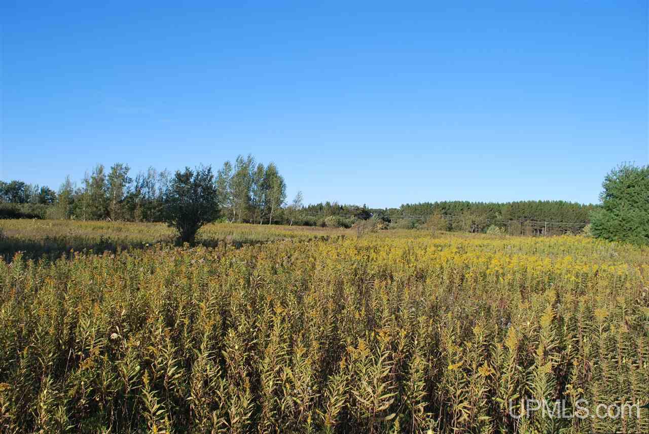 Tbd Golf Course Road Calumet, MI 49913 - Photo 18 of 34
