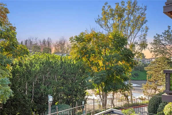 a view of a yard with a tree