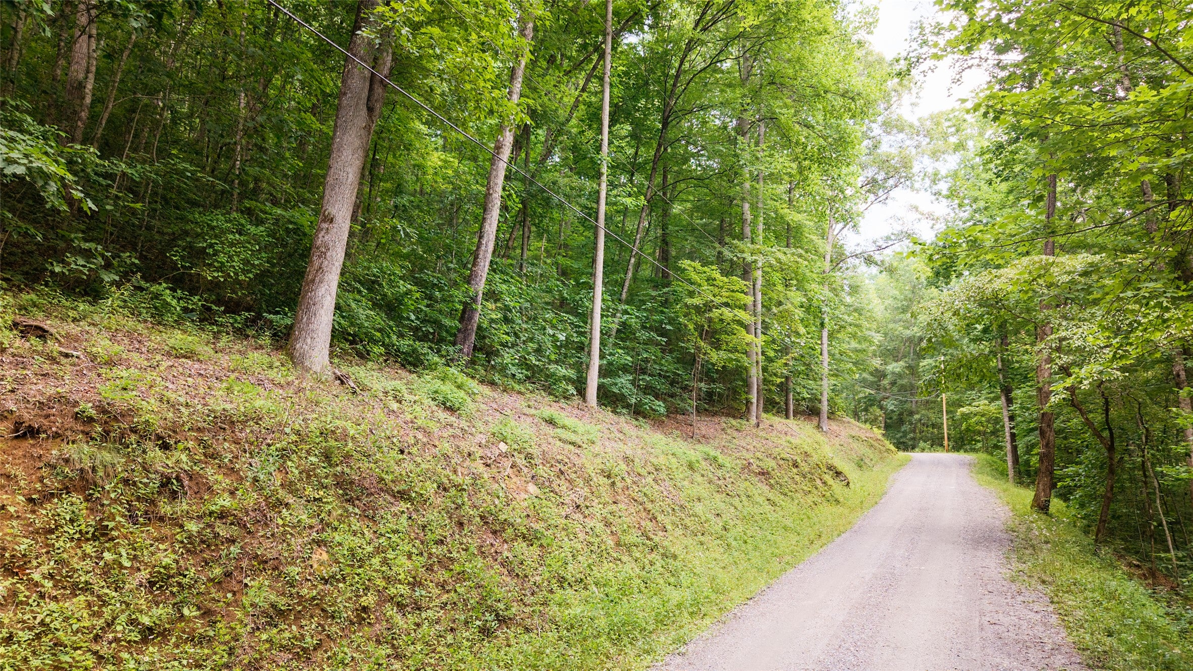 27 Cullowhee Forest Road Cullowhee, NC 28723 - Photo 22 of 22 Gallery Image 22