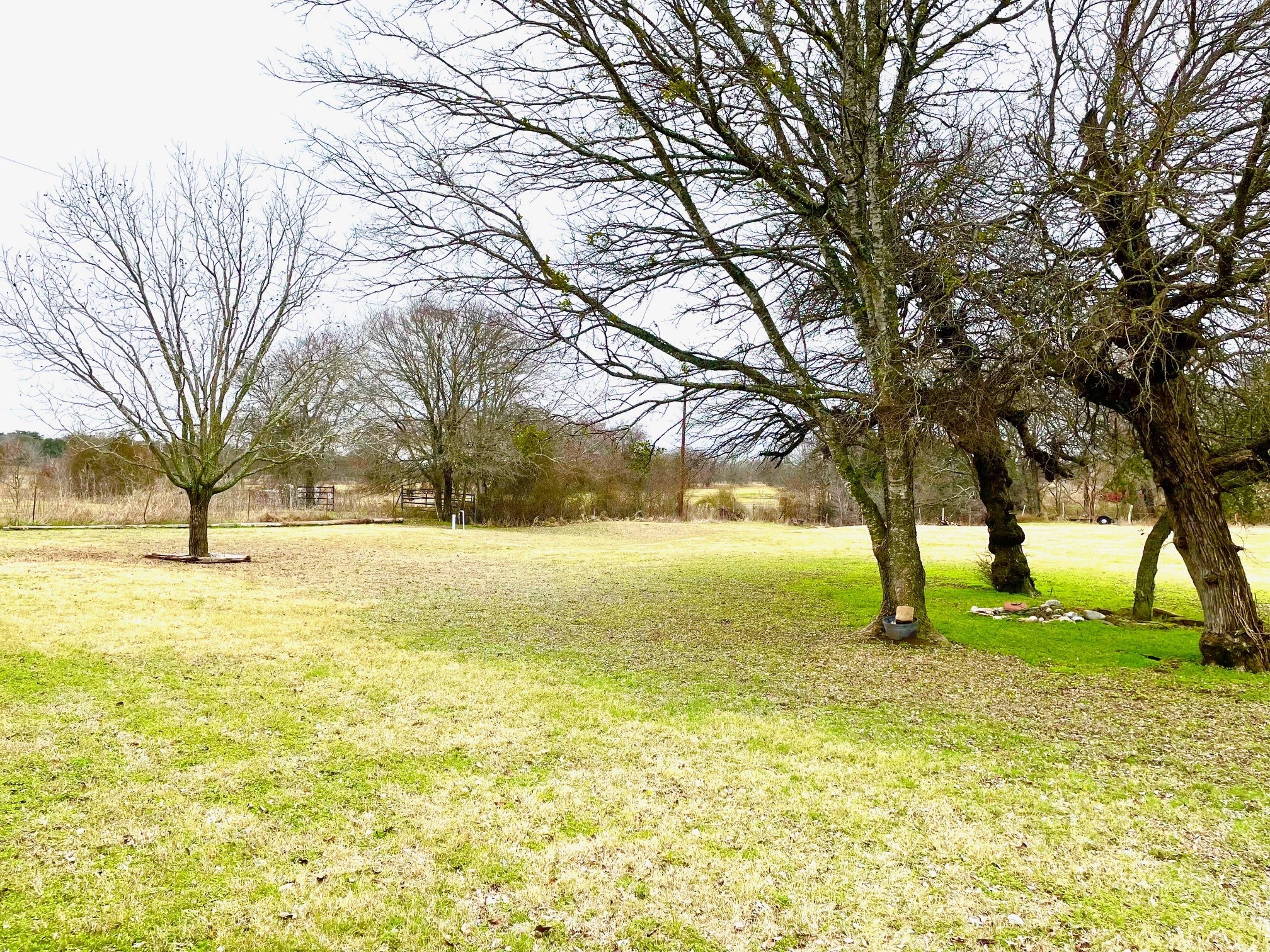 800 Archie Lane Belton, TX 76513 - Photo 31 of 32 Here's a view of some of the acreage which is shady for 9 months of the year.