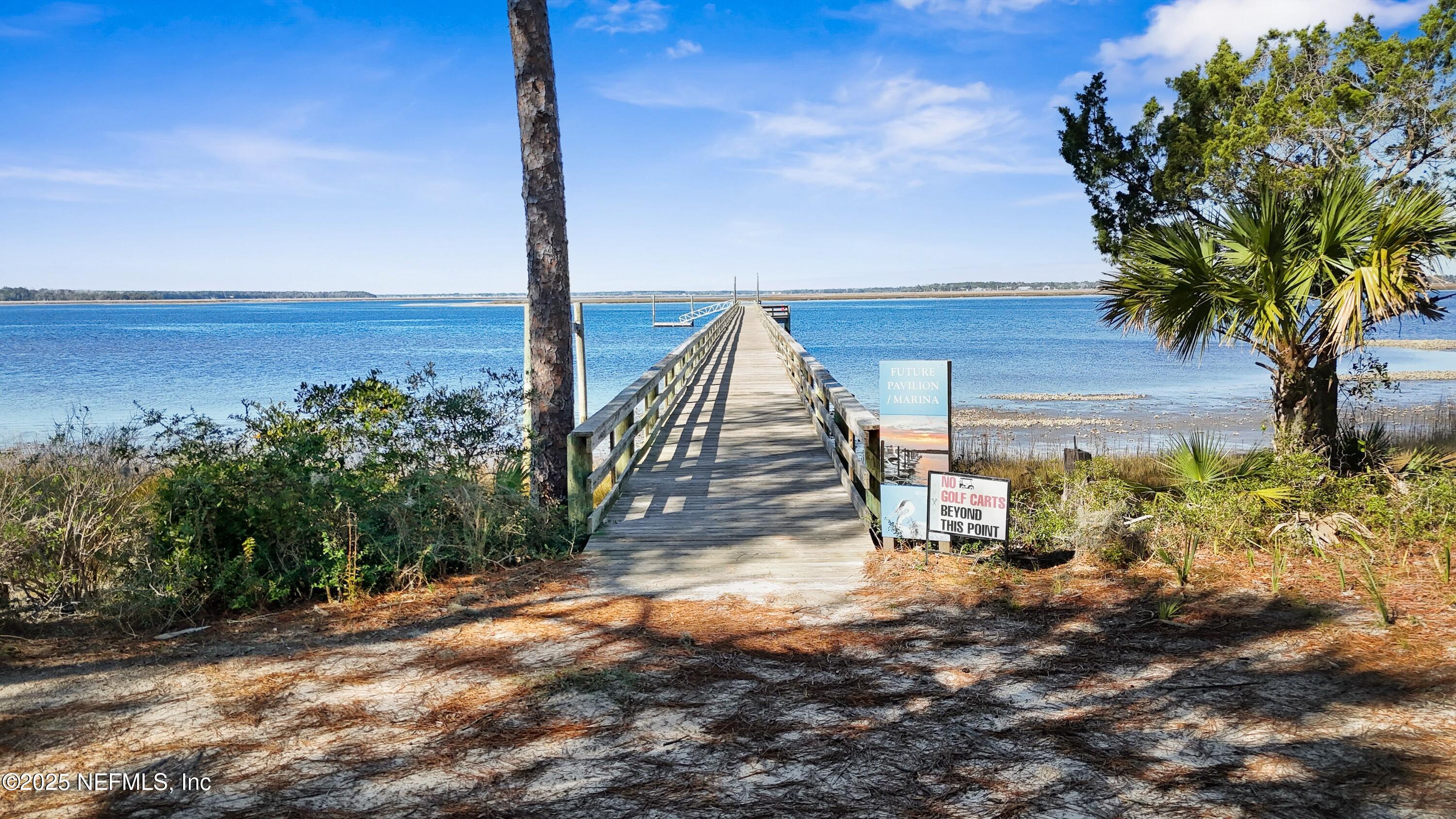 29041 Grandview Manor Yulee, FL 32097 - Photo 21 of 21 DJI_20250126135025_0081_D