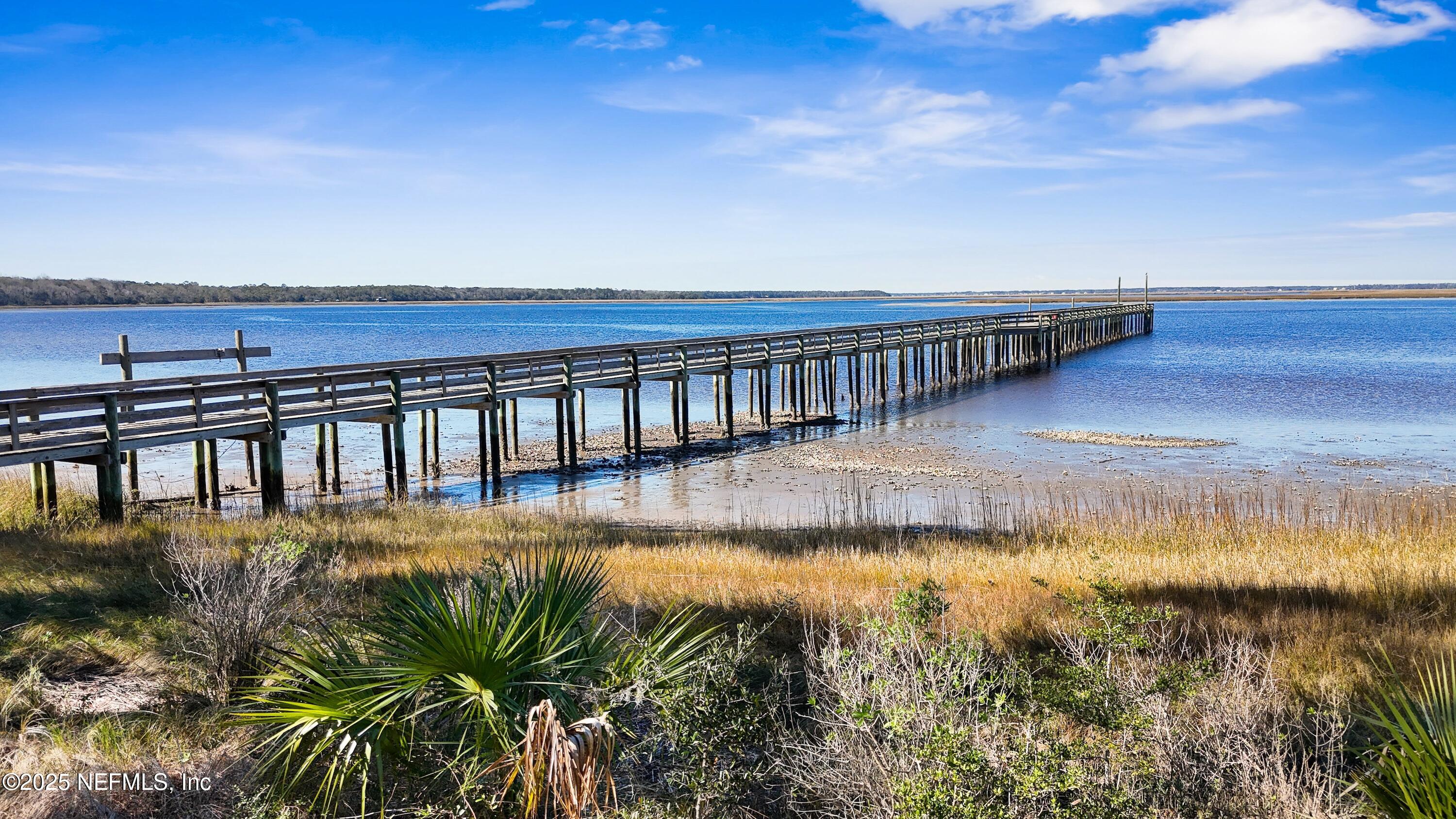 29041 Grandview Manor Yulee, FL 32097 - Photo 8 of 21 DJI_20250126134739_0069_D