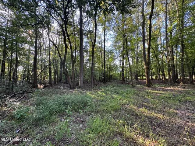 $225,000 | 51 Gunter Street, Lena, MS 39094