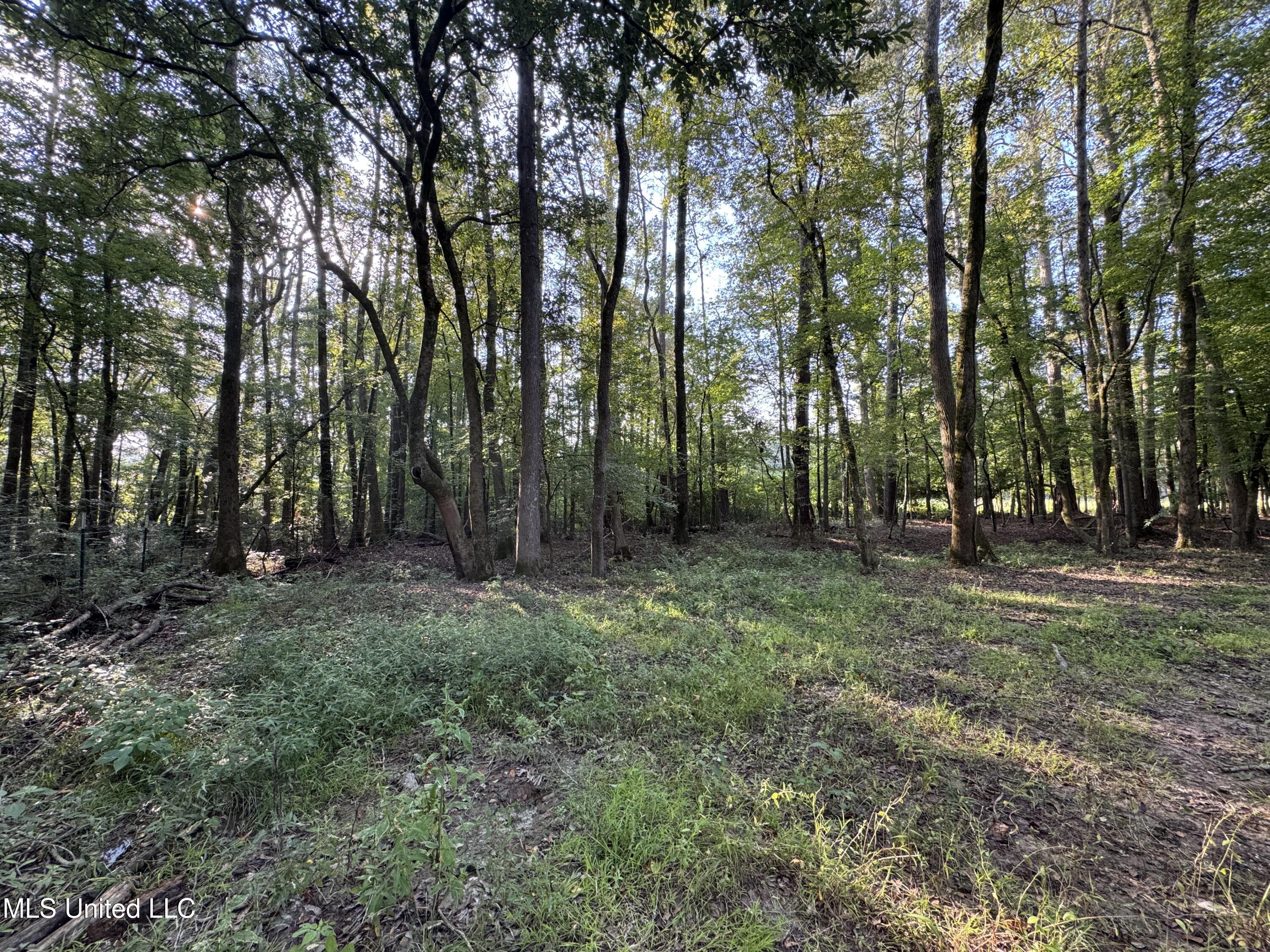 51 Gunter Street Lena, MS 39094 - Photo 11 of 45 IMG_8797