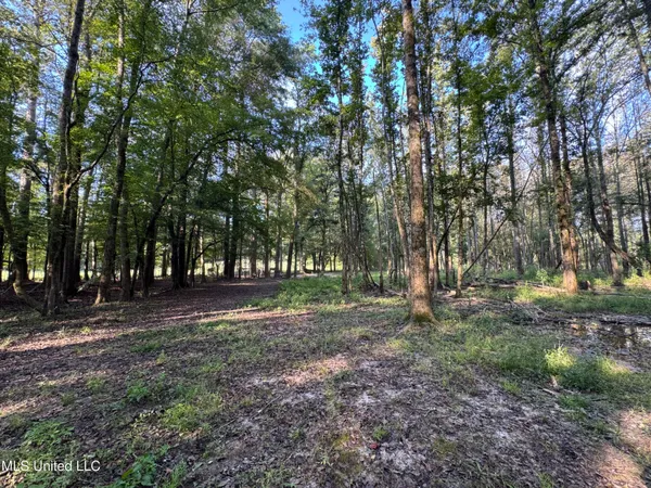 $199,900 | 51 Gunter Street, Lena, MS 39094