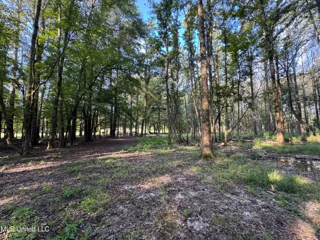 $225,000 | 51 Gunter Street, Lena, MS 39094