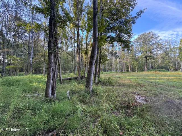 $225,000 | 51 Gunter Street, Lena, MS 39094