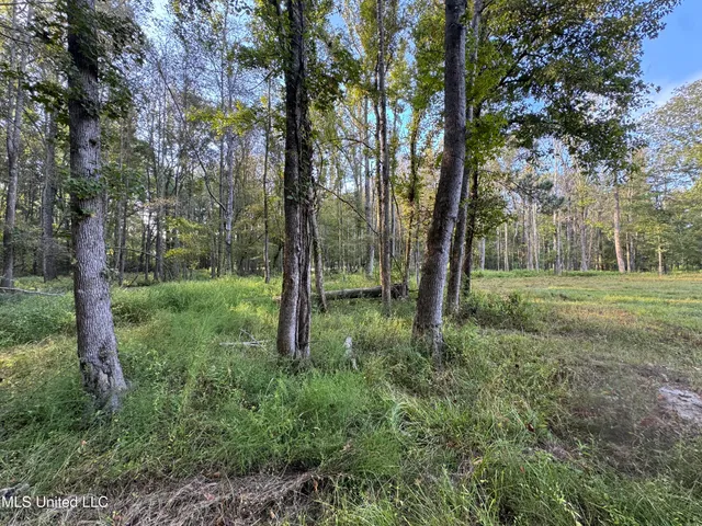 $225,000 | 51 Gunter Street, Lena, MS 39094