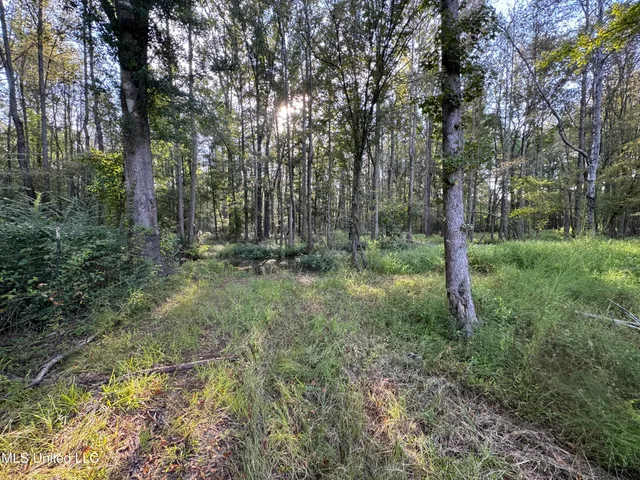 $225,000 | 51 Gunter Street, Lena, MS 39094