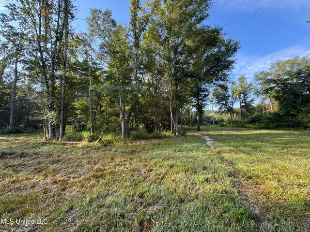 $225,000 | 51 Gunter Street, Lena, MS 39094