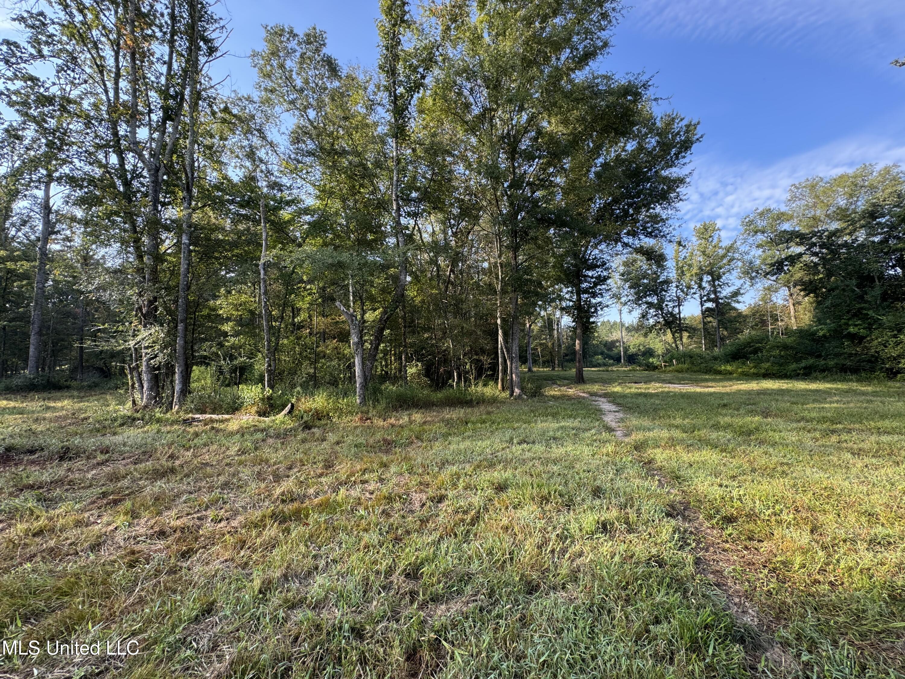 51 Gunter Street Lena, MS 39094 - Photo 16 of 45 IMG_8790