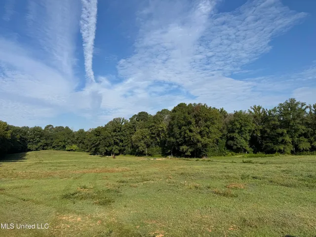 $225,000 | 51 Gunter Street, Lena, MS 39094