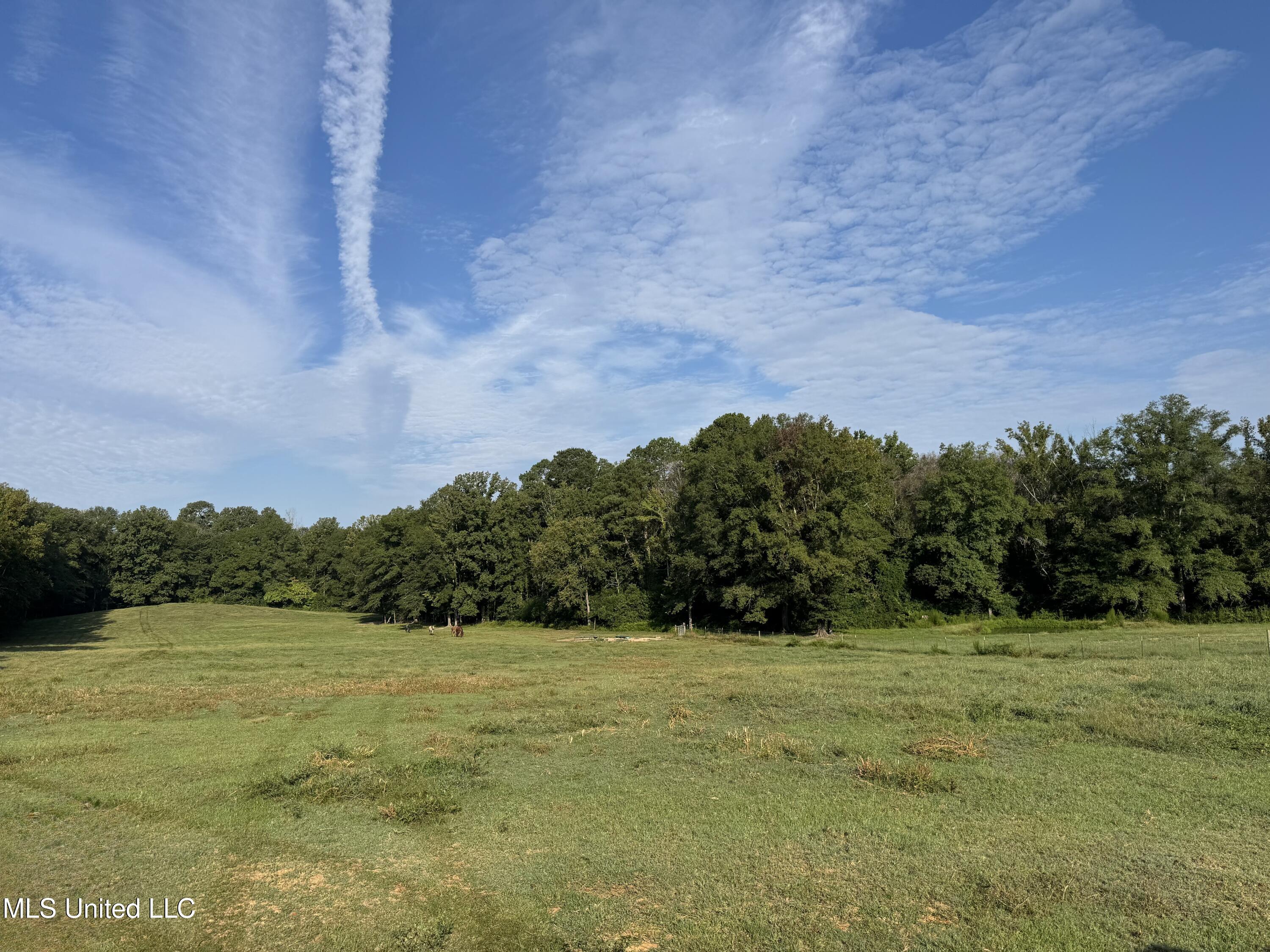 51 Gunter Street Lena, MS 39094 - Photo 17 of 45 IMG_8802