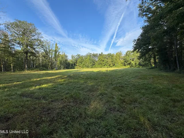 $225,000 | 51 Gunter Street, Lena, MS 39094