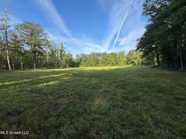 $225,000 | 51 Gunter Street, Lena, MS 39094