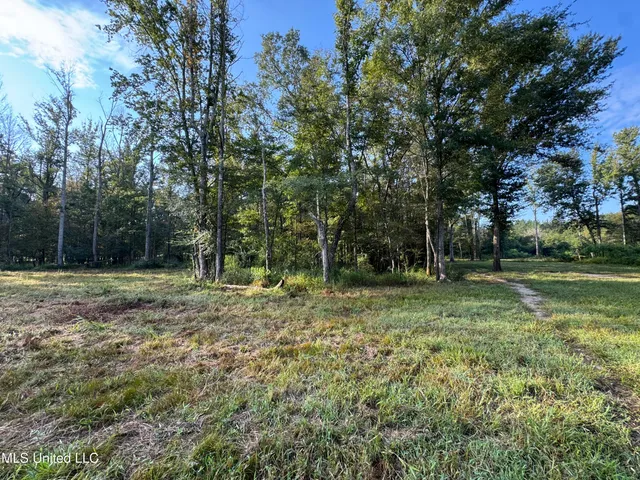 $225,000 | 51 Gunter Street, Lena, MS 39094