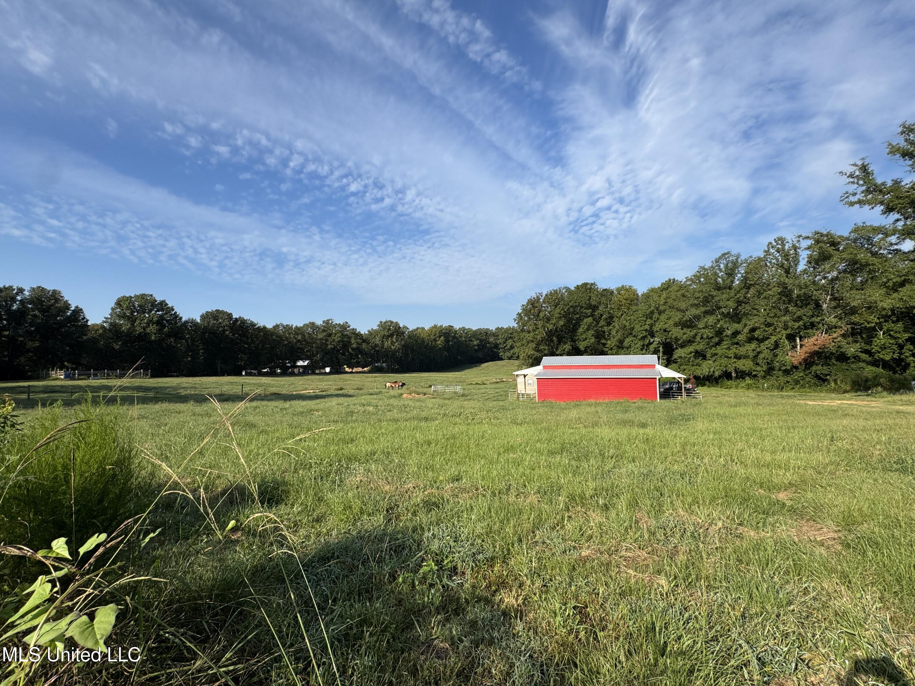 51 Gunter Street Lena, MS 39094 - Photo 2 of 45 IMG_8829