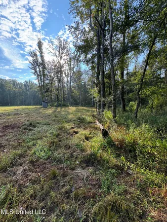 $199,900 | 51 Gunter Street, Lena, MS 39094