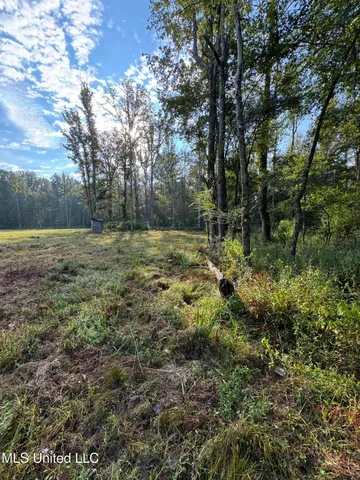 $225,000 | 51 Gunter Street, Lena, MS 39094