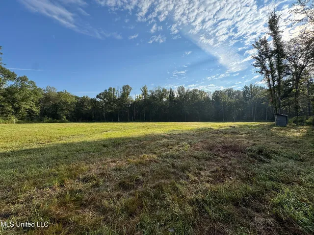 $225,000 | 51 Gunter Street, Lena, MS 39094