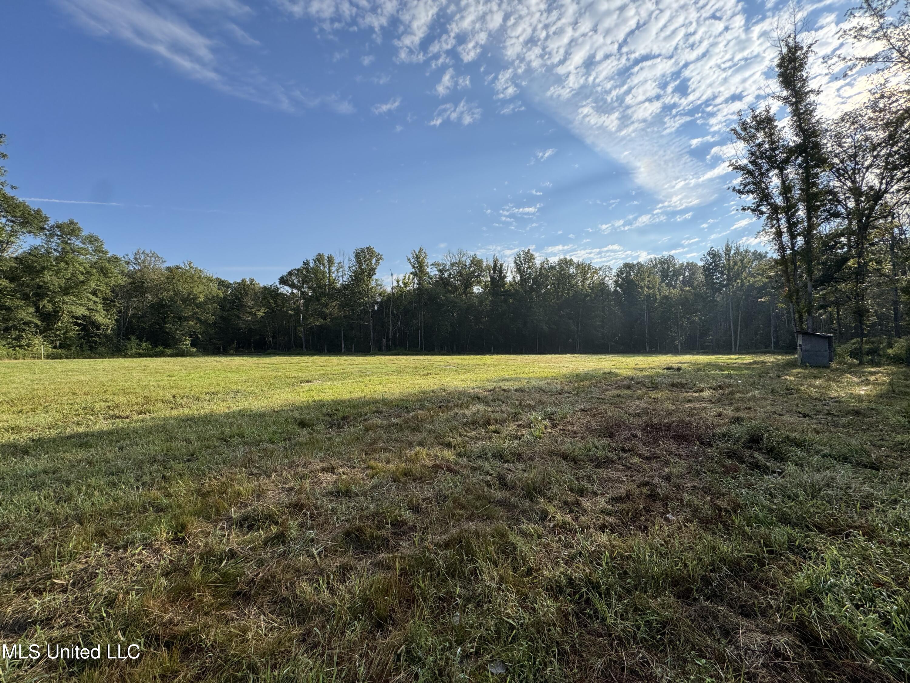 51 Gunter Street Lena, MS 39094 - Photo 22 of 45 IMG_8787