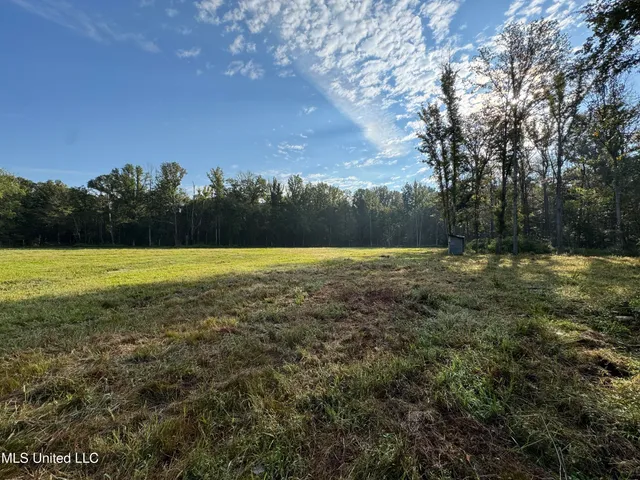 $225,000 | 51 Gunter Street, Lena, MS 39094