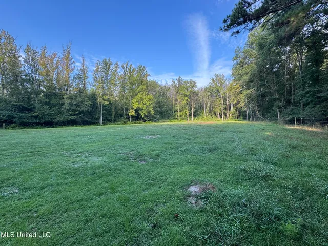 $225,000 | 51 Gunter Street, Lena, MS 39094