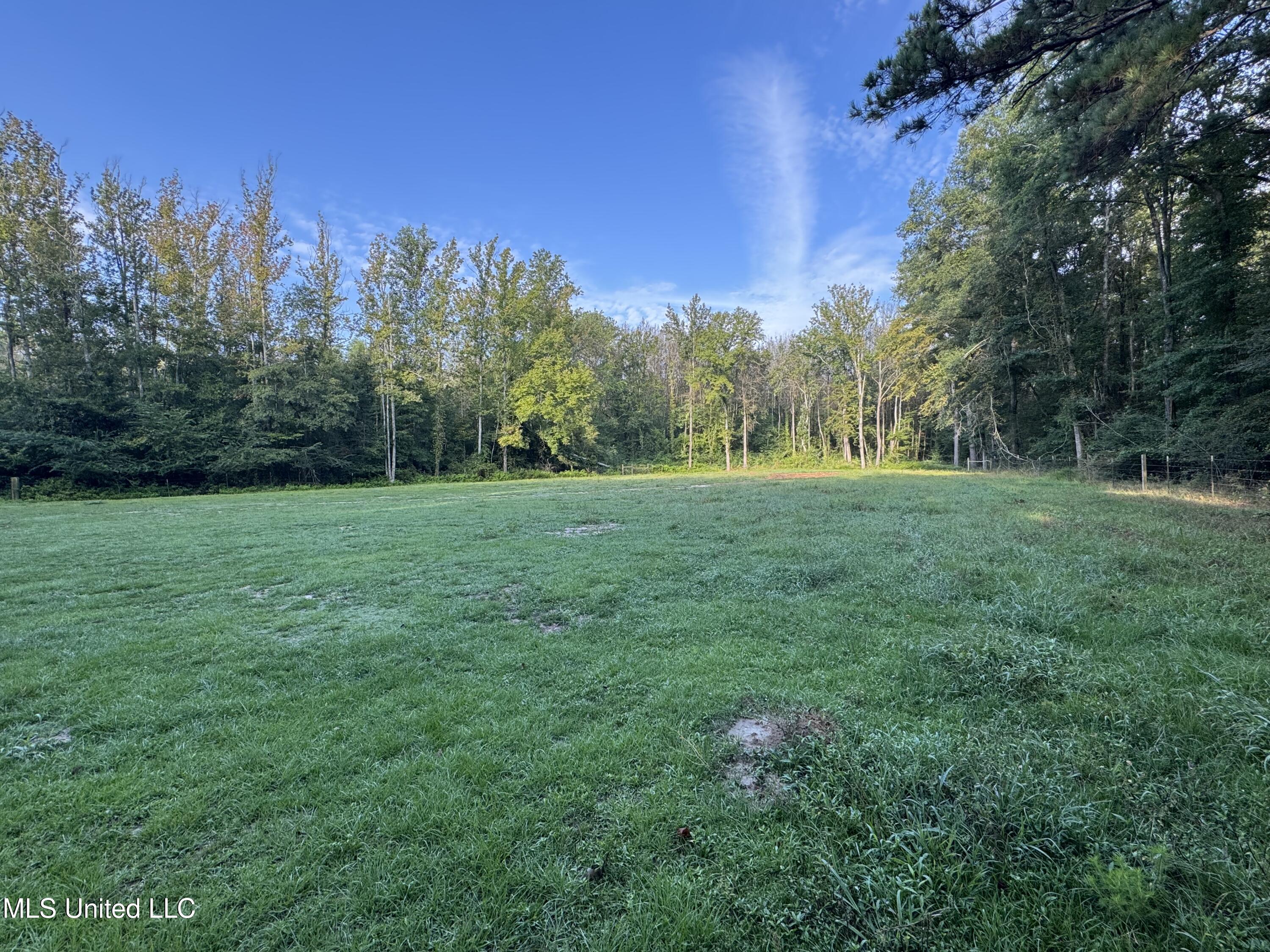 51 Gunter Street Lena, MS 39094 - Photo 24 of 45 IMG_8785